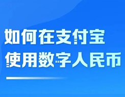 支付寶上線“數(shù)字人民幣”搜索功能，一站式集納多種功能