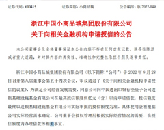 小商品城擬向金融機構(gòu)申請最高5億授信用于跨境電商物流園等項目