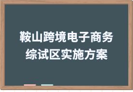 打造跨境電子商務(wù)直播之城，中國(guó)（鞍山）跨境電子商務(wù)綜合試驗(yàn)區(qū)實(shí)施方案印發(fā)